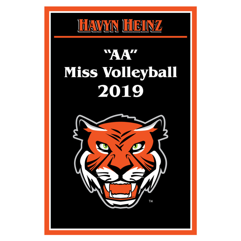 Huron-High-School-Miss-VB-2019
